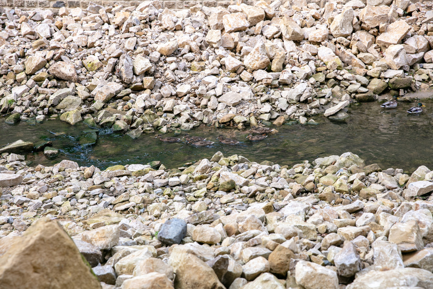 Le cours d’eau s’écoule de manière plus naturelle, avec des abords en pierre naturelle. (Photo: Romain Gamba / Maison Moderne)