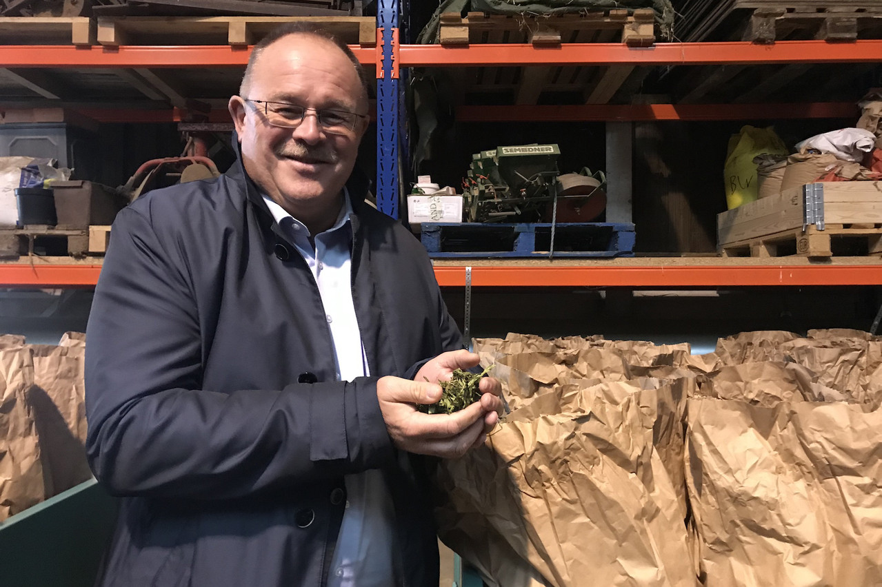 Le ministre de l’Agriculture Romain Schneider était présent lundi 7 octobre à Kalborn au sein de l’entreprise Cannad’Our, qui cultive notamment du chanvre industriel. (Photo: Paperjam)
