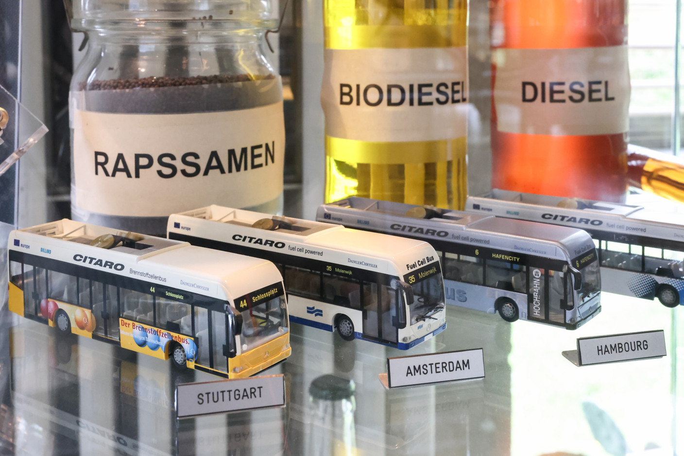 With its collection of vintage trams, buses and other historical objects, the Tram and Bus Museum showcases the evolution of urban mobility. Photo: Marie Russillo/Archives