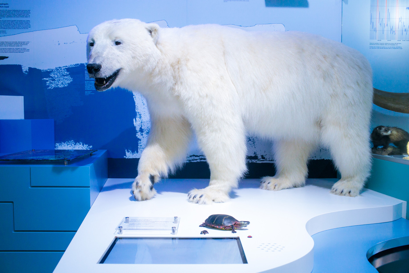 The Luxembourg Museum of Natural History explores life sciences, earth sciences and the universe at large. Photo: Matic Zorman/Archives
