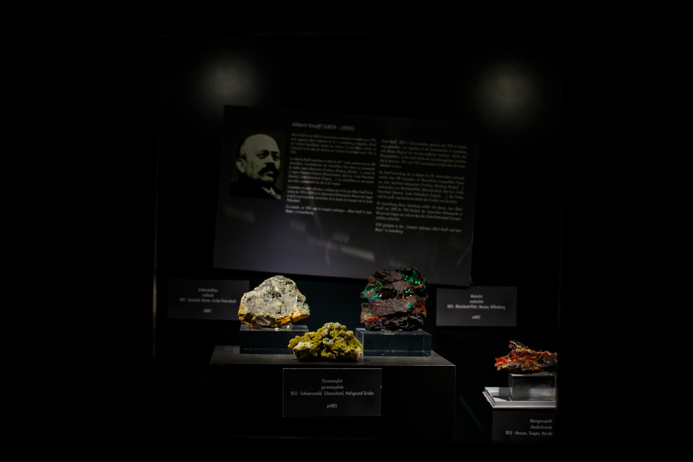 The Luxembourg Museum of Natural History explores life sciences, earth sciences and the universe at large. Photo: Matic Zorman/Archives
