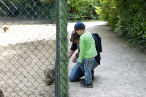 Home to nearly 200 animal species from five continents, Parc Merveilleux in Bettembourg is one of Luxembourg’s most renowned parks. Photo: Eva Krins/Archives