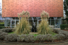 Located in Grevenmacher, the Butterfly Garden houses a climate-controlled greenhouse where over 30 species of exotic butterflies fly freely. Photo: Matic Zorman/Archives