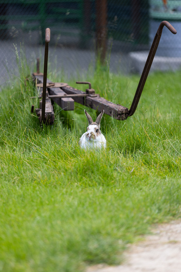 Home to nearly 200 animal species from five continents, Parc Merveilleux in Bettembourg is one of Luxembourg’s most renowned parks. Photo: Eva Krins/Archives
