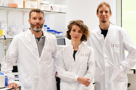 L’équipe de recherche du LIH, Andy Chevigné, Martyna Szpakowska et Max Meyrath. (Photo: LIH)