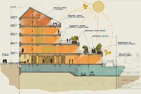 Cross-section of the project Illustration: Rodolphe Mertens Architects