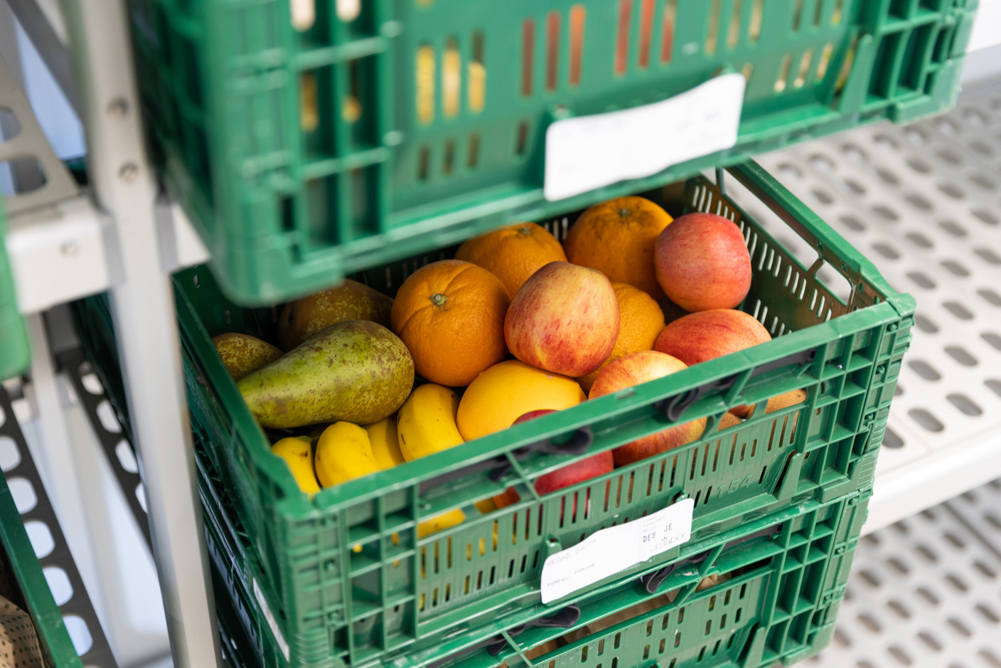 Entre 1985 et 2000, Co-labor ouvre un magasin de fleurs et d’outillage et se lance dans les paniers de produits bio. (Photo: Romain Gamba/Maison Moderne)