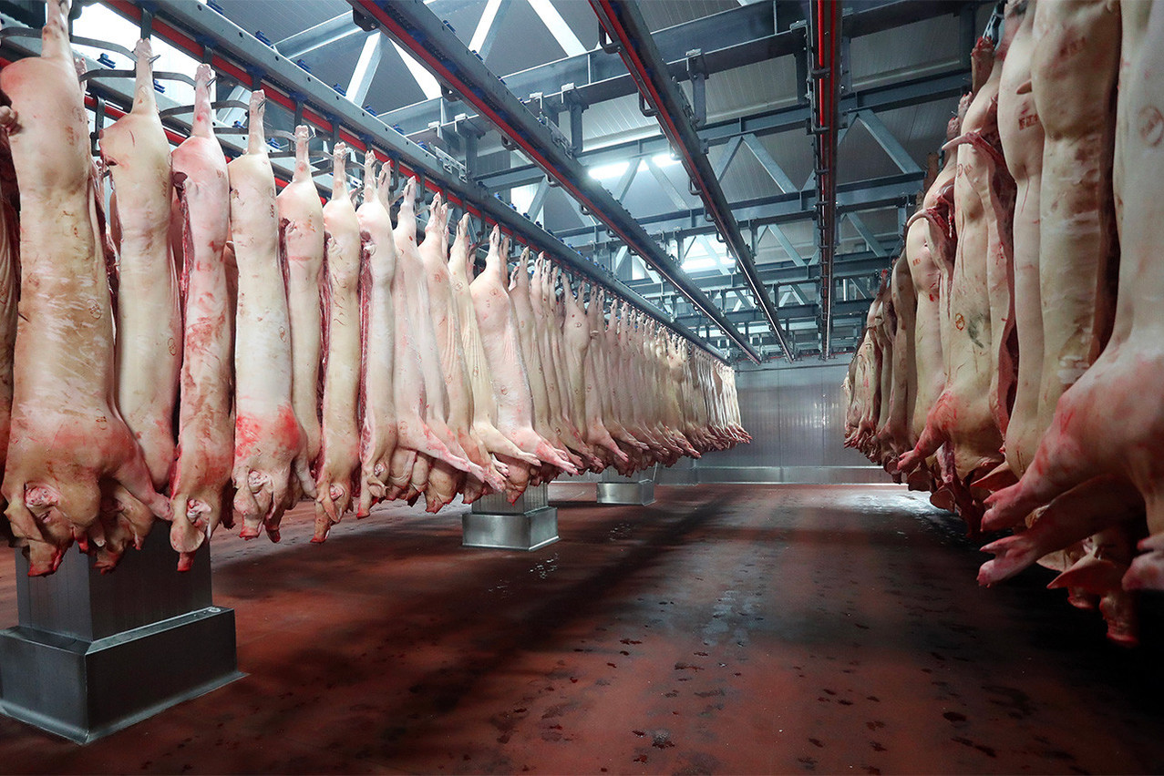 Cobolux entend abandonner l’abattage pour concentrer ses ressources humaines et ses infrastructures afin de développer sa gamme de produits finis tels que la charcuterie.  (Photo: UE/Damir Sencar)