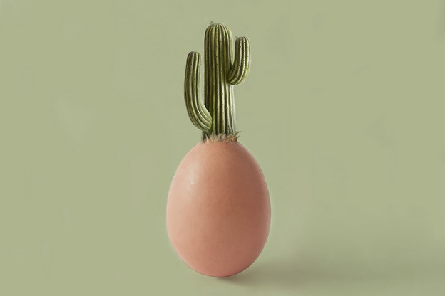 La «Mère Poule» s’installera en juin 2020 dans la galerie commerçante du Cactus Belle Étoile. (Design: Cocottes)