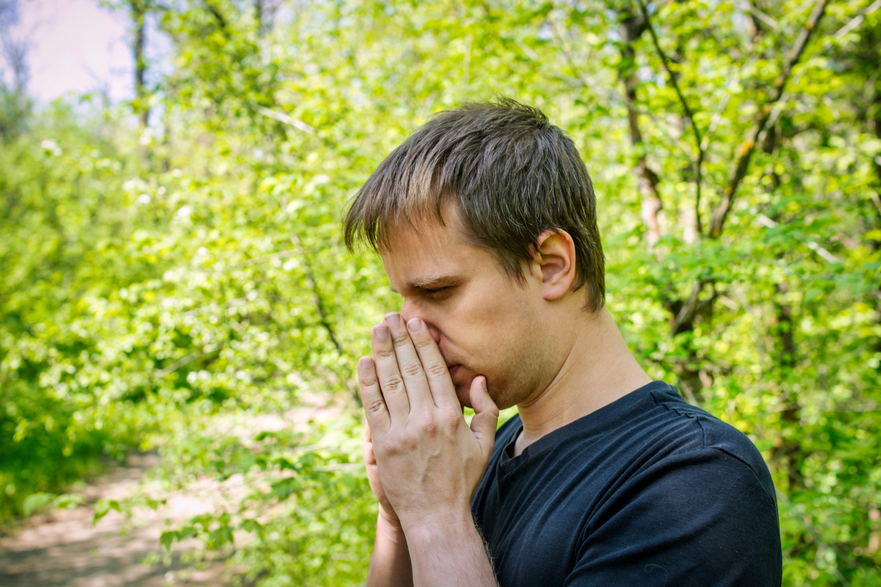 Le LIH a implanté des tumeurs sur des souris préalablement rendues allergiques pour vérifier l’existence d’une corrélation négative. (Photo: Shutterstock)