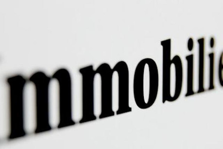 immobilier_02.jpg