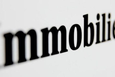 immobilier_02.jpg