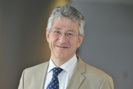 Michel Kalika (Photo: DR)