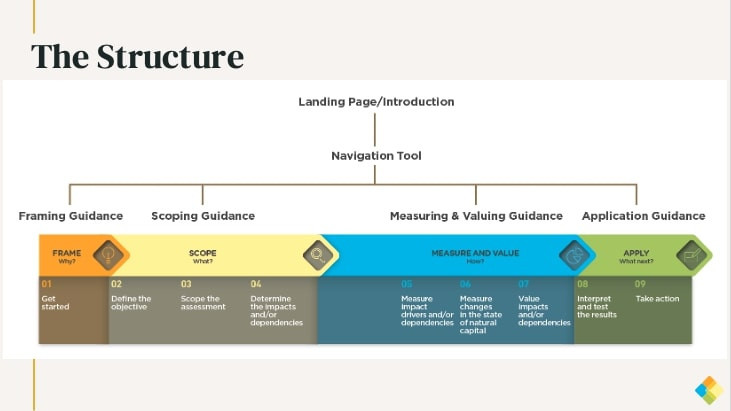 An overview of the Biodiversity Guidance Navigation Tool created by the Capitals Coalition. Image: Capitals Coalition
