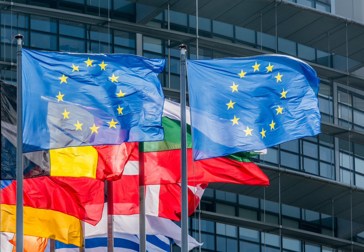 EU flags in Strasbourg Photo: Shutterstock