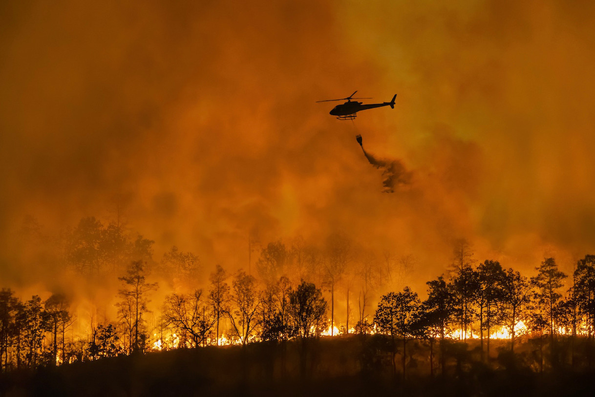 COP30: the background to the air is frightening. (Photo: Shutterstock)