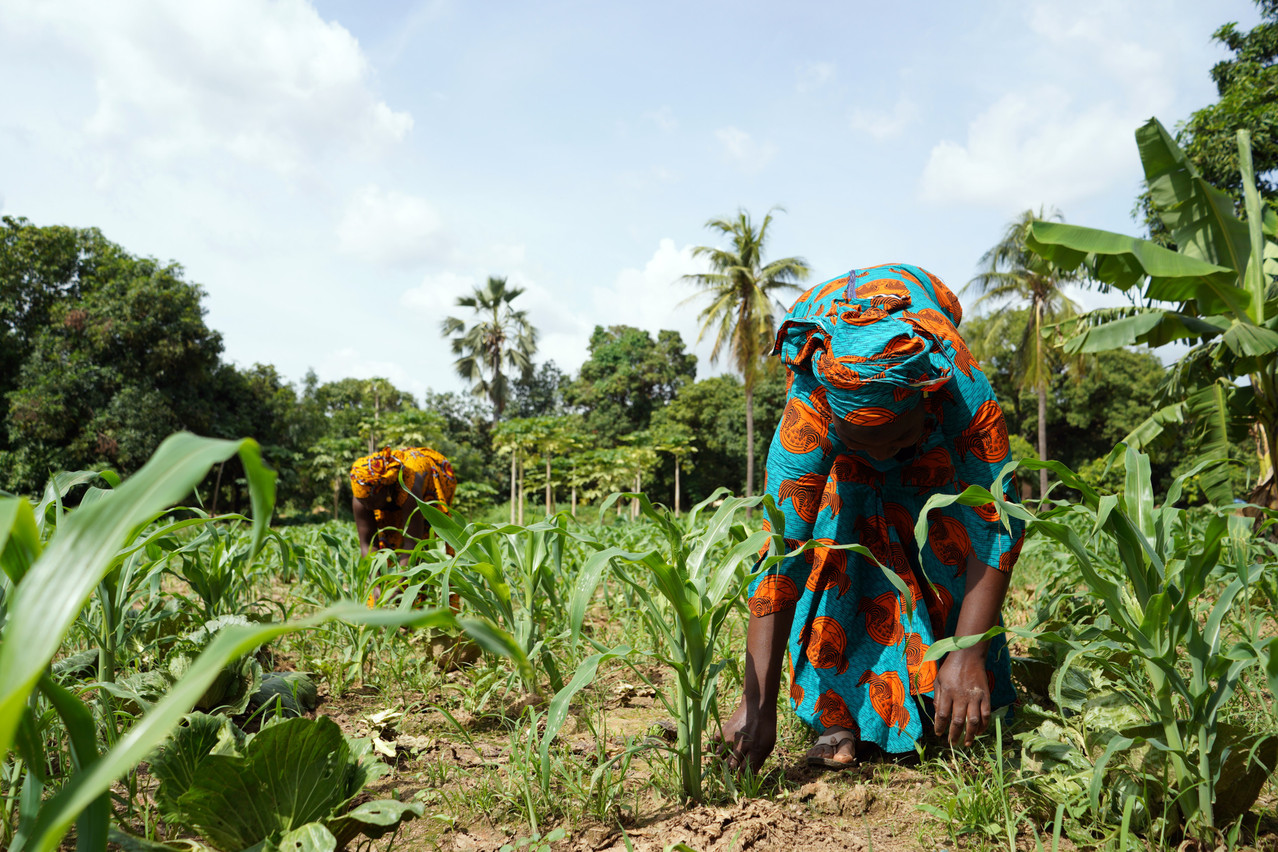 Pour remplir sa mission, SOS Faim agit pour la transformation des systèmes agricoles et alimentaires en finançant et en accompagnant des acteurs engagés en faveur de l’agriculture familiale durable et de la consommation alimentaire responsable. (Photo: Shutterstock)