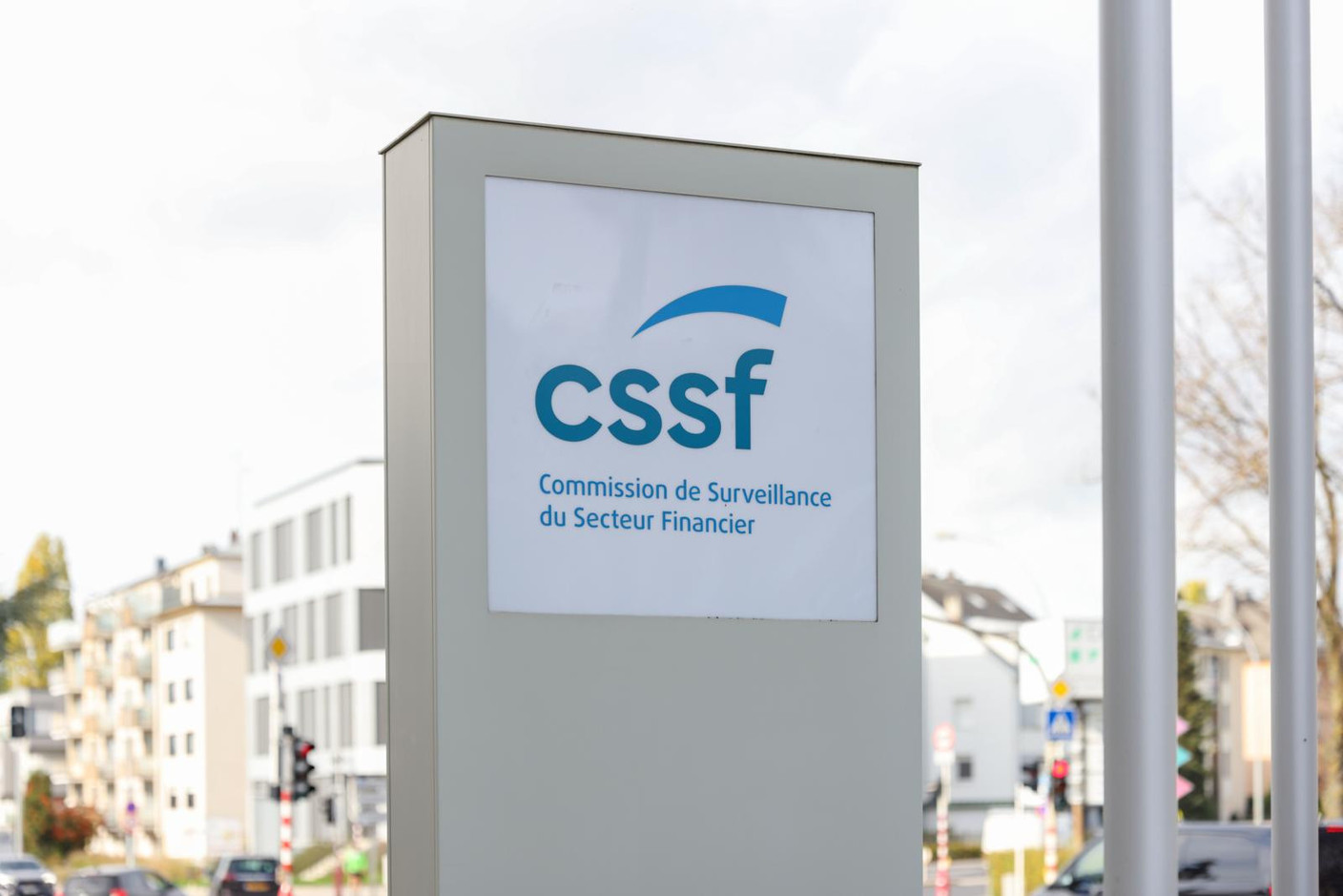 Luxembourg entities of Crestbridge can now act as depositary for fund managers looking for cross-border distribution into the EEA markets for Ucits and AIF funds. Library photo: Romain Gamba/Maison Moderne