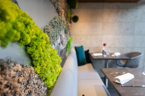 Bathed in natural light, the dining room features a minimalist and warm decor with subtle touches of greenery. (Photo: Maison Moderne)
