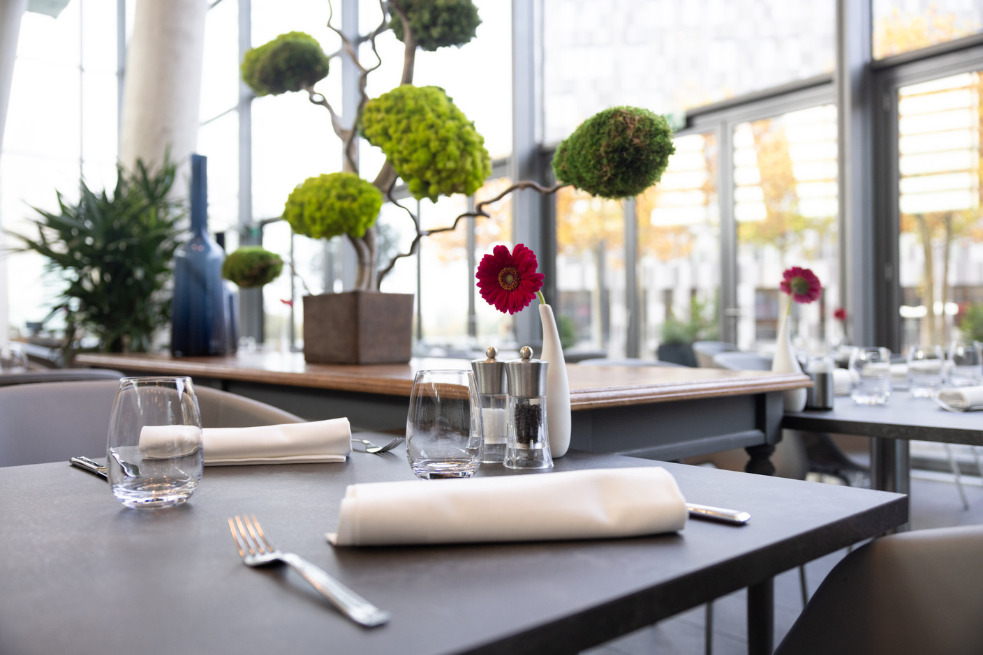 Bathed in natural light, the dining room features a minimalist and warm decor with subtle touches of greenery. (Photo: Maison Moderne)