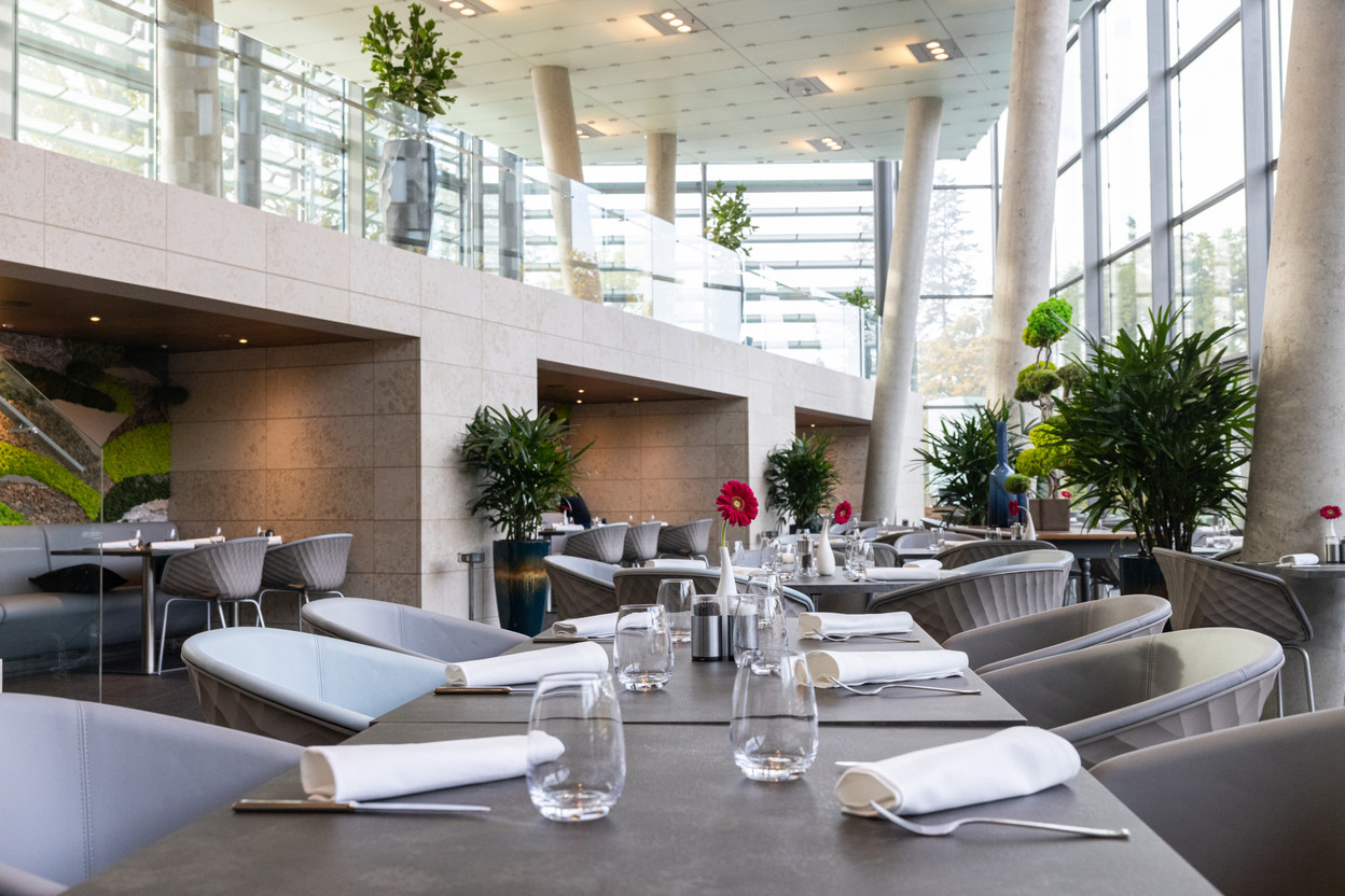 Baignée de lumière naturelle, la salle présente une décoration épurée et chaleureuse avec de subtiles touches de végétation. Photo: Maison Moderne