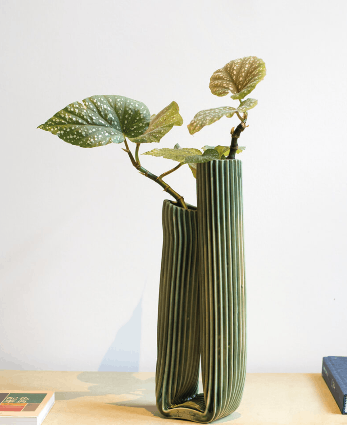 Tulumba vase (2022) Studio Biskt at Studio Biskt. Photo: Studio Biskt