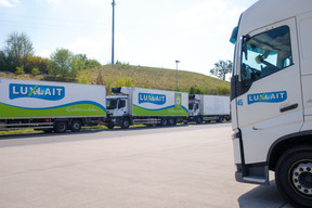 Les camions de Luxlait, alignés sur le grand parking. (Photo: Matic Zorman / Maison Moderne)