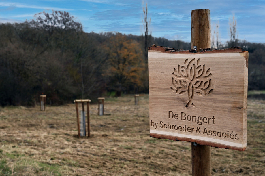 Avec «De Bongert by Schroeder & Associés», la société de consultants en ingénierie démontre que ses engagements environnementaux ne sont pas que des intentions: ils deviennent un projet concret, vivant et partagé. (Photo: Schroeder & Associés)