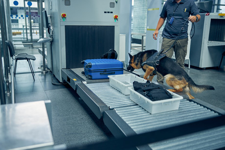 L’argent n’a pas d’odeur, mais la non-déclaration de montants supérieurs à 10.000 euros lors du passage des frontières est passible d’amendes sévères. (Photo: Shutterstock)