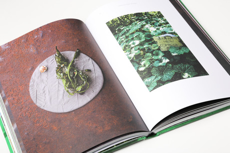 De superbes photos de plats, des histoires personnelles mais aussi des recettes: «Sun and Rain» lève le voile sur l’univers de la chef star Ana Roš. (Photo: Romain Gamba/Maison Moderne)
