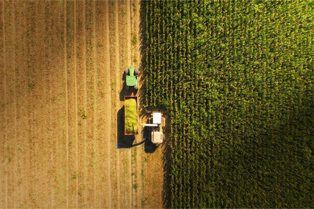 Alors que 44% de toutes les plantations sont perdues avant la récolte, le WWF estime que nous devrons produire plus de nourriture au cours des quatre prochaines décennies que pendant les 8.000 ans d’histoire de l’humanité. (Photo: Shutterstock)