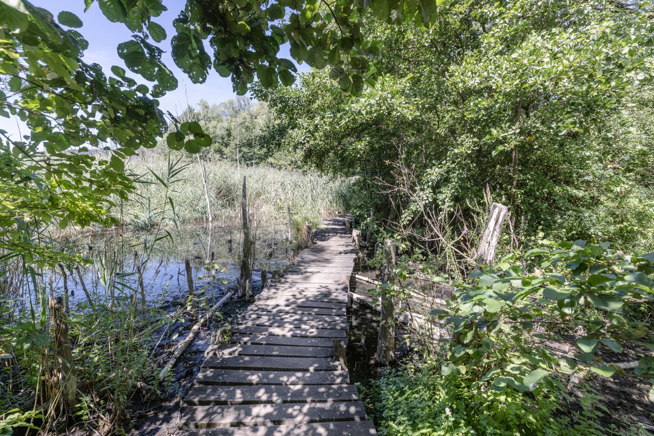 Looking for something to do during the last few days of summer? Enjoy an afternoon walk in Remerschen. Archive photo: Guy Wolff/Maison Moderne