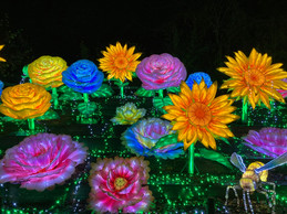 Flowers are another theme installed at the Amnéville Zoo’s exhibit of illuminations. Photo: Lydia Linna/Maison Moderne