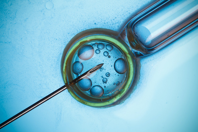 The new law applies to children adopted or conveived through assisted reproduction involving a third person ( Photo: Shutterstock)