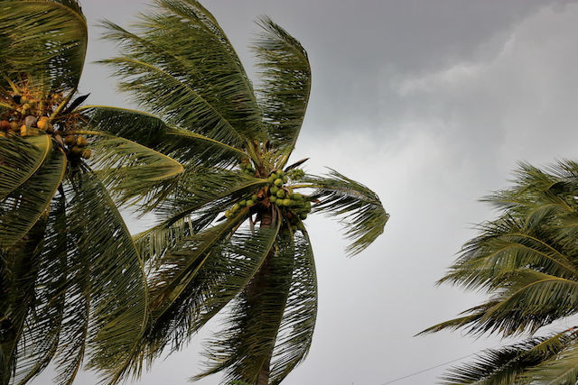 The rapidly changing climate means the destructive power of storms like Cyclone Idai is only going to increase in the future Shutterstock