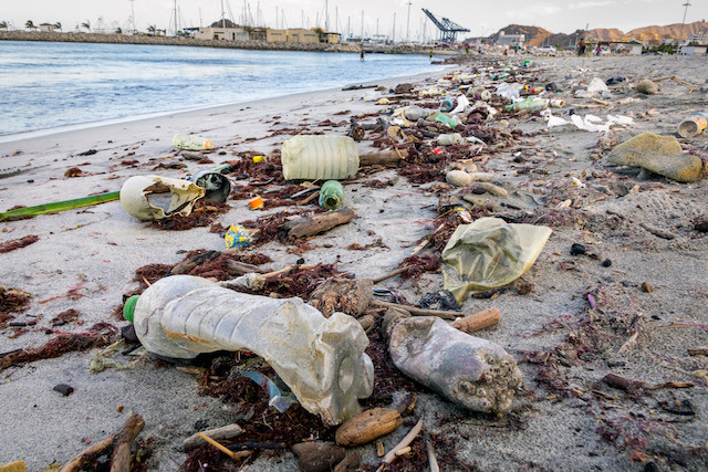 Plastic bottles and other garbage on the sea beach in Santa Marta, Colombia, in January 2020 Shutterstock