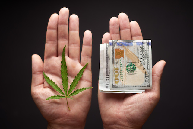 There’s money to be made from legalising cannabis Shutterstock