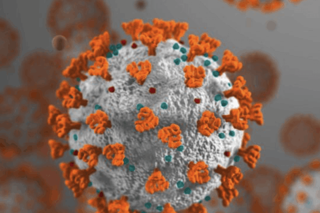 Photo shows a coronavirus molecule Shutterstock