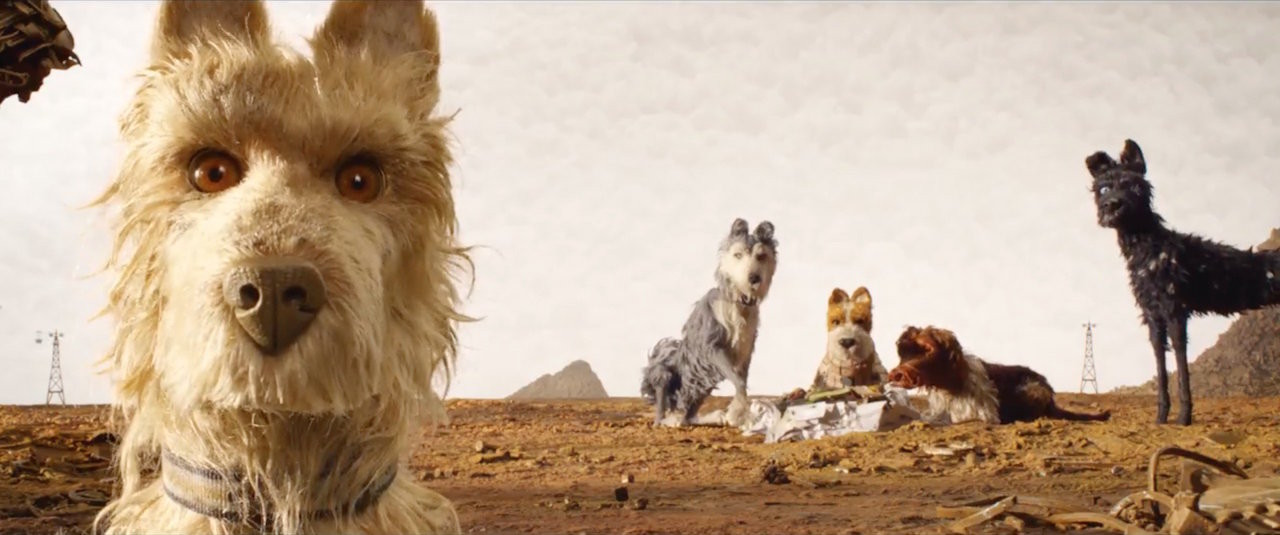 Best of breed: Wes Anderson’s latest foray into animation, “Isle of Dogs”, is the closing film at this year’s Luxembourg City Film Festival. 20th Century Fox