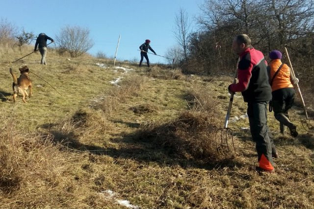 Getting their hands dirty for nature- volunteers clear scrubland near Dudelange Bee Together