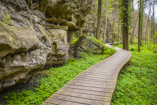 The Mullerthal trail (Photo: Immotop )