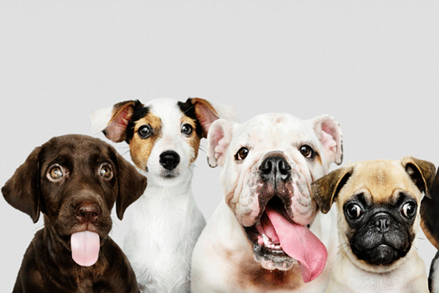   (credit photo : ING Luxembourg)