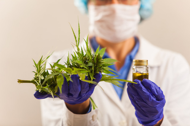 The law legalising the prescription and sale of medical cannabis for patients with certain conditions passed unanimously in June 2018 Shutterstock