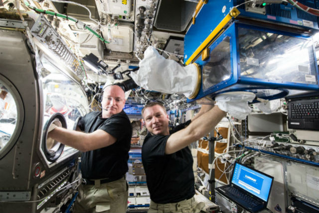 Nasa astronauts Scott Kelly and Terry Virts conduct rodent research investigations within the Microgravity Science Glovebox and the Rodent Habitat Module aboard the International Space Station Nasa