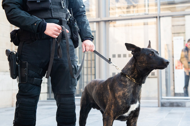 2018 archive photo shows a police dog handler in the station district of Luxembourg City LaLa La Photo/archives