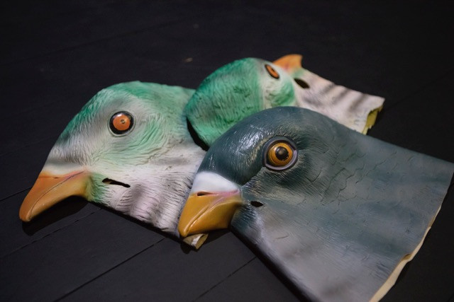 “Two Pigeons Perching on a Bench” is performed in English at the Kasematten-theater on 3, 5, 7, 8 and 9 November at 8pm Patricia Pitsch/Maison Moderne