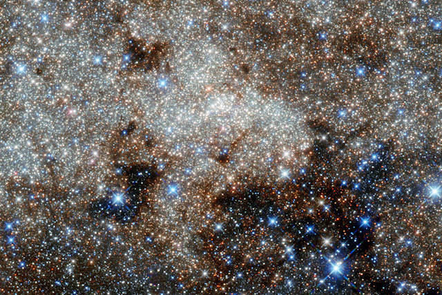potw1340a-web.jpg