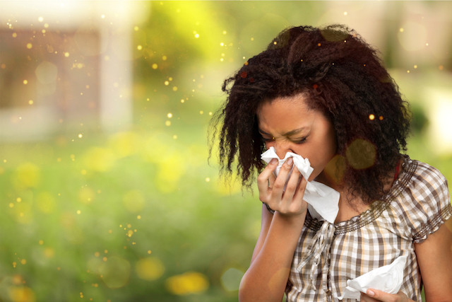 Climate change is already altering flowering seasons worldwide and in turn, creating longer pollen seasons Shutterstock