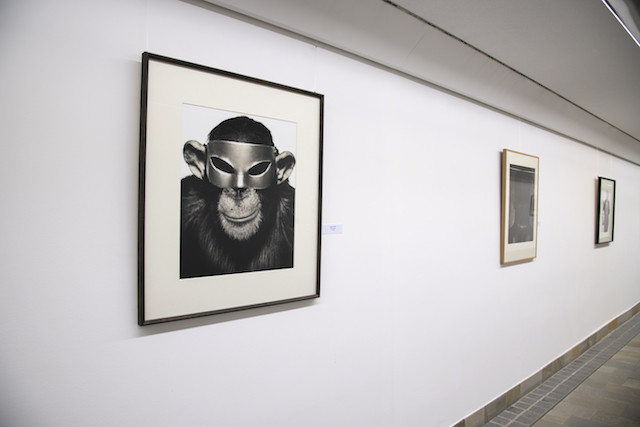 Albert Watson's "Monkey with Mask" is shown in the am Tunnel art exhibition space Spuerkeess