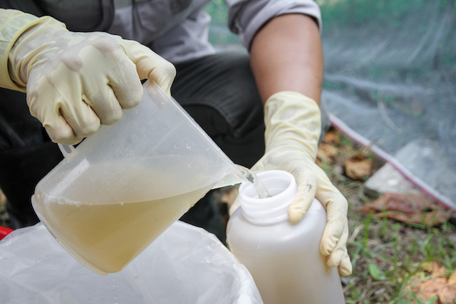 Illustration photo shows a researcher using a composite sampling method for wastewater Shutterstock